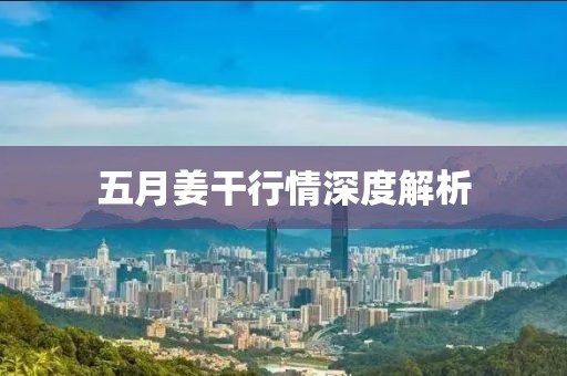 五月姜干行情深度解析
