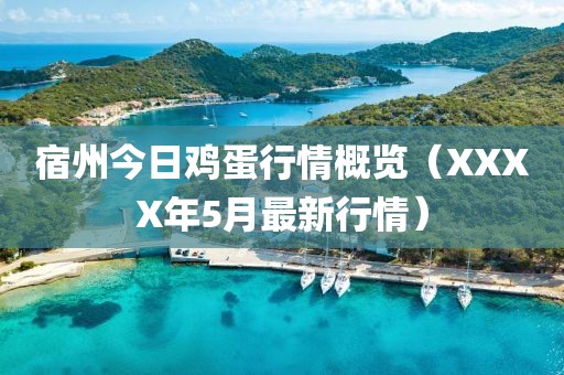 宿州今日雞蛋行情概覽（XXXX年5月最新行情）