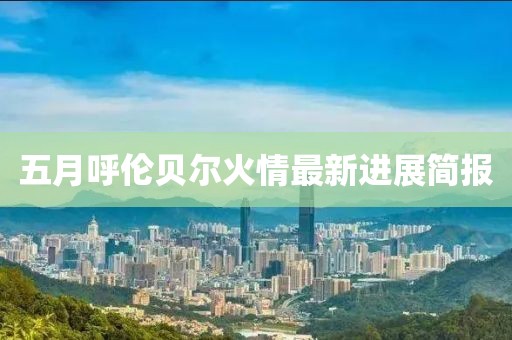 五月呼倫貝爾火情最新進(jìn)展簡(jiǎn)報(bào)