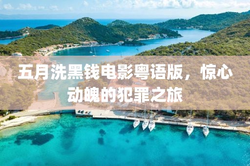 五月洗黑錢電影粵語版，驚心動魄的犯罪之旅