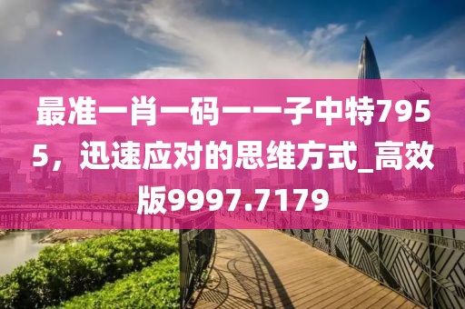 最準(zhǔn)一肖一碼一一子中特7955，迅速應(yīng)對(duì)的思維方式_高效版9997.7179