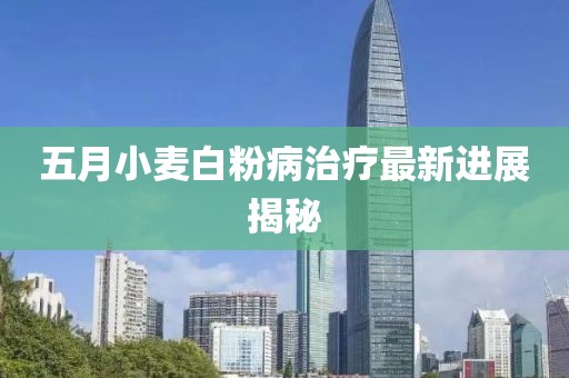 五月小麥白粉病治療最新進(jìn)展揭秘