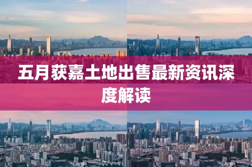 五月獲嘉土地出售最新資訊深度解讀