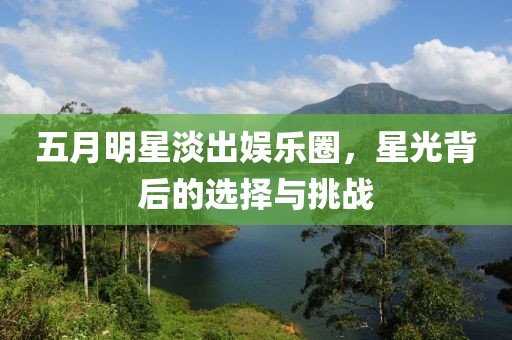 五月明星淡出娛樂圈，星光背后的選擇與挑戰(zhàn)