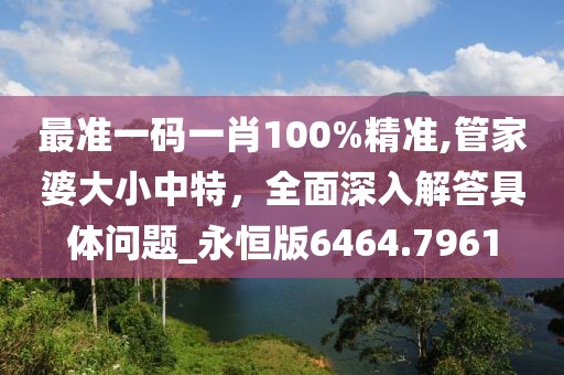 最準一碼一肖100%精準,管家婆大小中特，全面深入解答具體問題_永恒版6464.7961