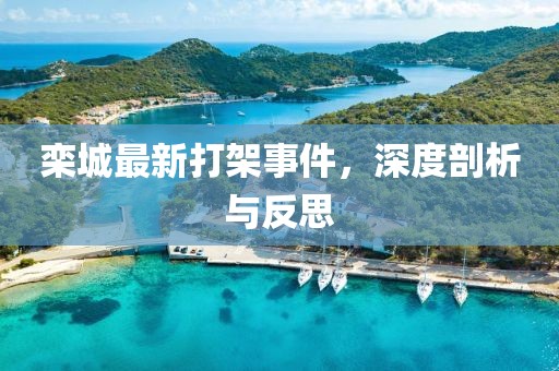 欒城最新打架事件，深度剖析與反思