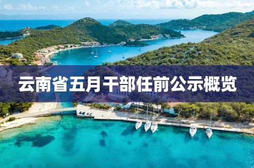 云南省五月干部任前公示概覽