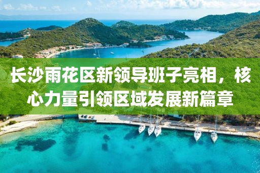 長沙雨花區(qū)新領(lǐng)導(dǎo)班子亮相，核心力量引領(lǐng)區(qū)域發(fā)展新篇章