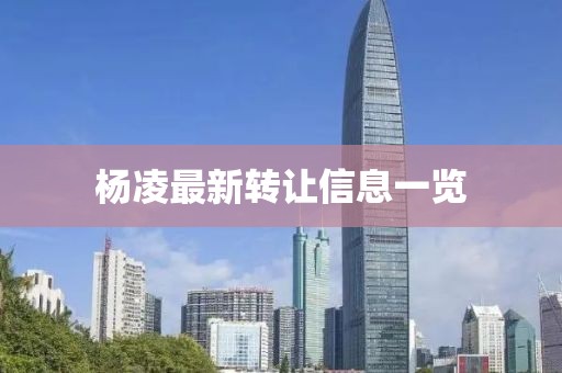 霜標(biāo)水月孤 第28頁
