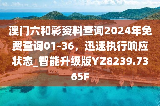 澳門六和彩資料查詢2024年免費查詢01-36，迅速執(zhí)行響應(yīng)狀態(tài)_智能升級版YZ8239.7365F