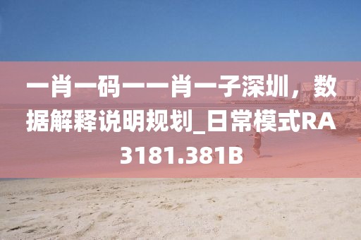 一肖一碼一一肖一子深圳，數(shù)據(jù)解釋說明規(guī)劃_日常模式RA3181.381B