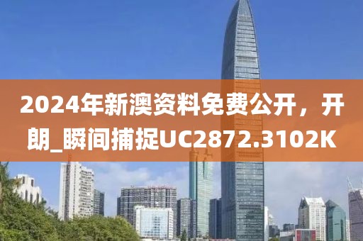 2024年新澳資料免費公開，開朗_瞬間捕捉UC2872.3102K
