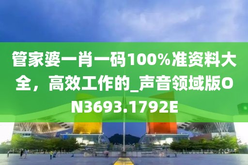 管家婆一肖一碼100%準資料大全，高效工作的_聲音領域版ON3693.1792E