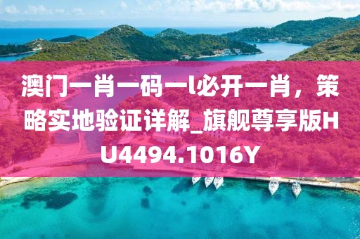 澳門(mén)一肖一碼一l必開(kāi)一肖，策略實(shí)地驗(yàn)證詳解_旗艦尊享版HU4494.1016Y