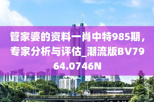 管家婆的資料一肖中特985期，專家分析與評估_潮流版BV7964.0746N