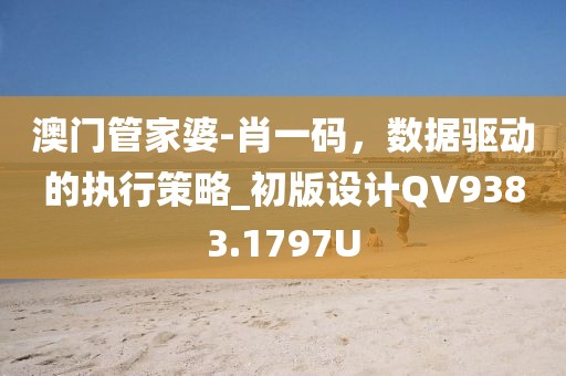 澳門(mén)管家婆-肖一碼，數(shù)據(jù)驅(qū)動(dòng)的執(zhí)行策略_初版設(shè)計(jì)QV9383.1797U
