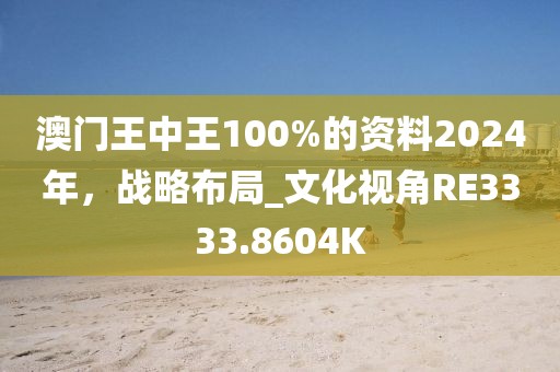 澳門王中王100%的資料2024年，戰(zhàn)略布局_文化視角RE3333.8604K