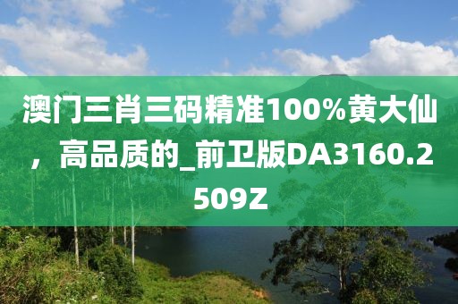 澳門三肖三碼精準(zhǔn)100%黃大仙，高品質(zhì)的_前衛(wèi)版DA3160.2509Z