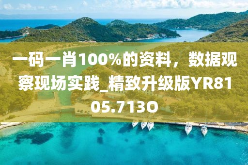 一碼一肖100%的資料，數(shù)據(jù)觀察現(xiàn)場實踐_精致升級版YR8105.713O