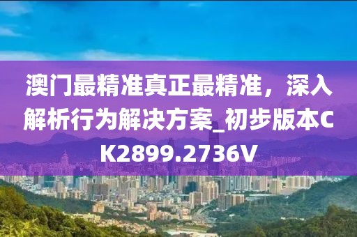 澳門最精準(zhǔn)真正最精準(zhǔn)，深入解析行為解決方案_初步版本CK2899.2736V