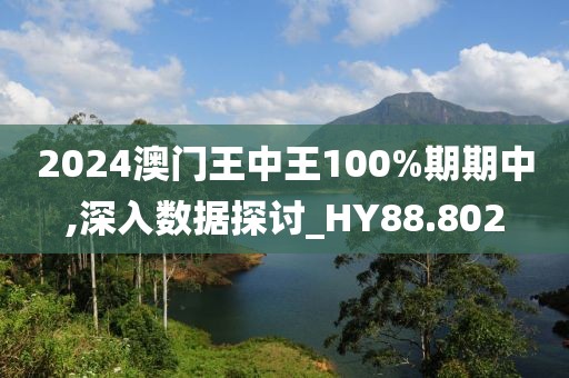 2024澳門王中王100%期期中,深入數據探討_HY88.802