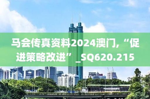 馬會傳真資料2024澳門,“促進策略改進”_SQ620.215