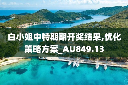 白小姐中特期期開獎結(jié)果,優(yōu)化策略方案_AU849.13