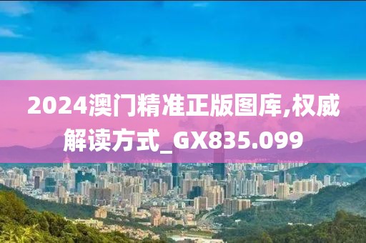 2024澳門精準(zhǔn)正版圖庫,權(quán)威解讀方式_GX835.099