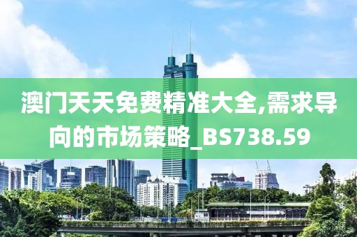 澳門天天免費精準大全,需求導(dǎo)向的市場策略_BS738.59