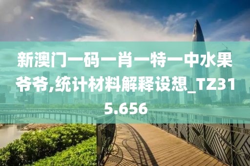 新澳門一碼一肖一特一中水果爺爺,統(tǒng)計(jì)材料解釋設(shè)想_TZ315.656