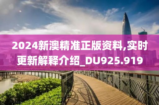 2024新澳精準(zhǔn)正版資料,實(shí)時(shí)更新解釋介紹_DU925.919