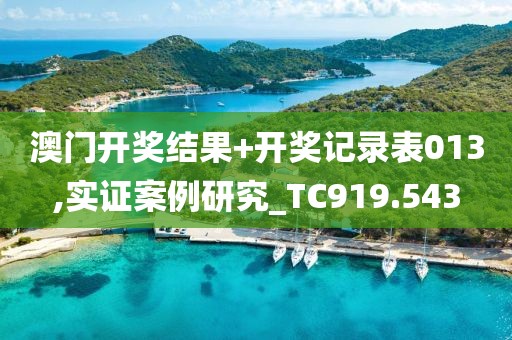 澳門開獎(jiǎng)結(jié)果+開獎(jiǎng)記錄表013,實(shí)證案例研究_TC919.543