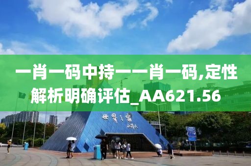 一肖一碼中持一一肖一碼,定性解析明確評估_AA621.56