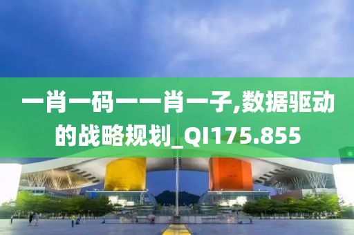 一肖一碼一一肖一子,數(shù)據(jù)驅(qū)動的戰(zhàn)略規(guī)劃_QI175.855