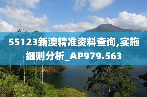 55123新澳精準(zhǔn)資料查詢,實施細(xì)則分析_AP979.563