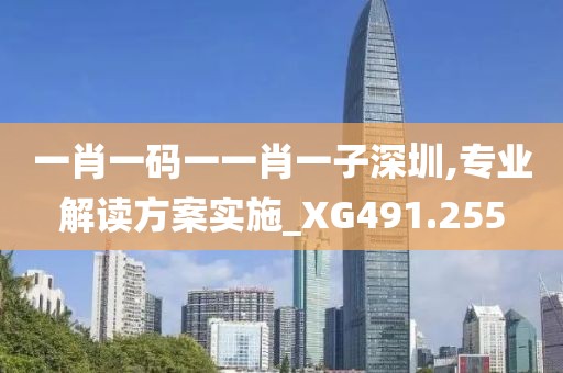 一肖一碼一一肖一子深圳,專(zhuān)業(yè)解讀方案實(shí)施_XG491.255
