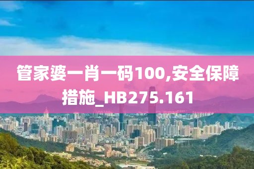 管家婆一肖一碼100,安全保障措施_HB275.161