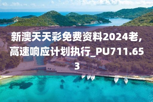 新澳天天彩免費(fèi)資料2024老,高速響應(yīng)計(jì)劃執(zhí)行_PU711.653