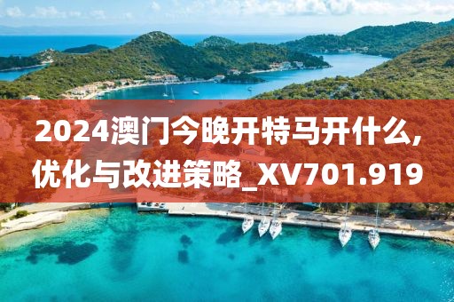2024澳門(mén)今晚開(kāi)特馬開(kāi)什么,優(yōu)化與改進(jìn)策略_XV701.919