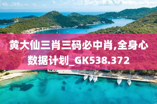 黃大仙三肖三碼必中肖,全身心數(shù)據(jù)計劃_GK538.372