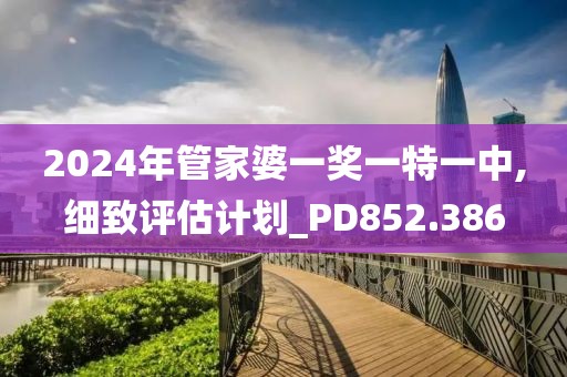 2024年管家婆一獎一特一中,細致評估計劃_PD852.386
