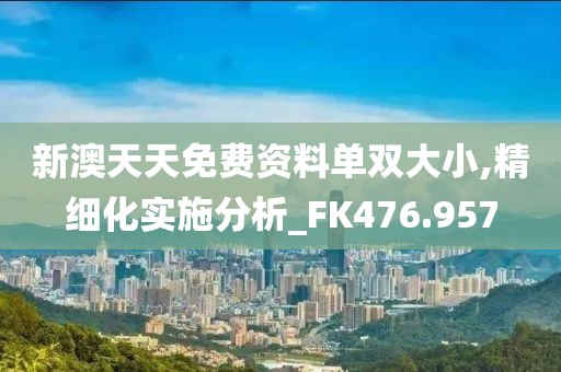 新澳天天免費資料單雙大小,精細化實施分析_FK476.957