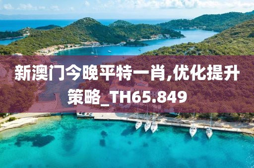 新澳門今晚平特一肖,優(yōu)化提升策略_TH65.849