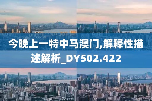 今晚上一特中馬澳門,解釋性描述解析_DY502.422
