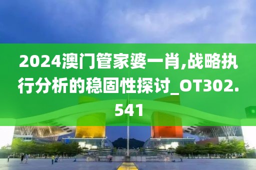 2024澳門管家婆一肖,戰(zhàn)略執(zhí)行分析的穩(wěn)固性探討_OT302.541