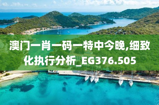 澳門一肖一碼一特中今晚,細致化執(zhí)行分析_EG376.505