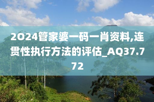 2O24管家婆一碼一肖資料,連貫性執(zhí)行方法的評估_AQ37.772