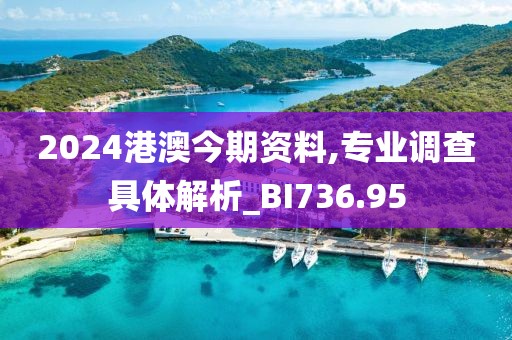 2024港澳今期資料,專業(yè)調(diào)查具體解析_BI736.95