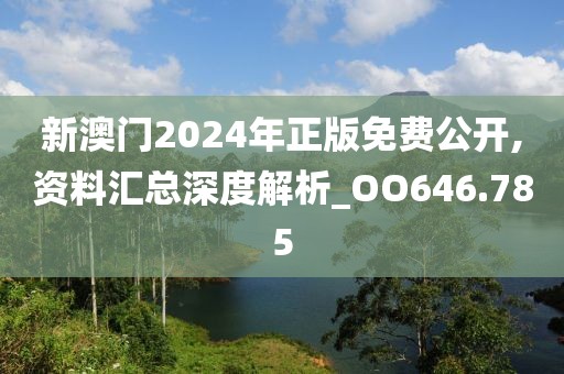 新澳門2024年正版免費公開,資料匯總深度解析_OO646.785