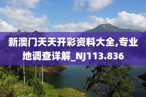 新澳門天天開彩資料大全,專業(yè)地調(diào)查詳解_NJ113.836